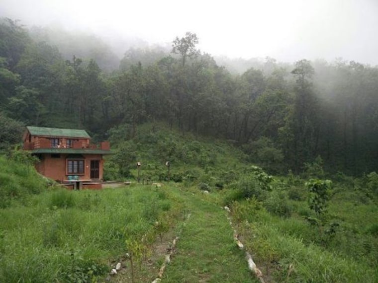 Sitabani reserve forest 1